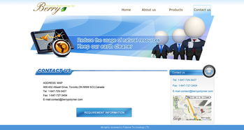 網(wǎng)頁(yè)與網(wǎng)站設(shè)計(jì) 企業(yè)形象的數(shù)字化窗口